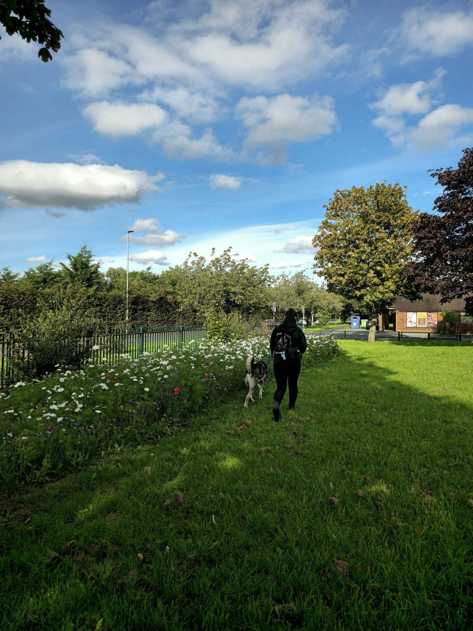 Solo dog walk along a tree-lined path in Didsbury, Manchester